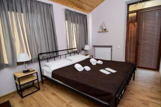 Отель Panoramic Hotel Khedi Мцхета Двухместный номер Делюкс с 1 кроватью-9